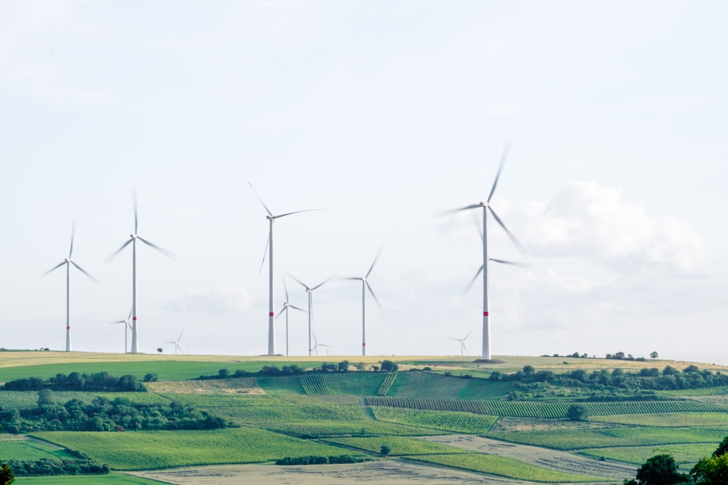 A importância das redes neurais na proteção ambiental